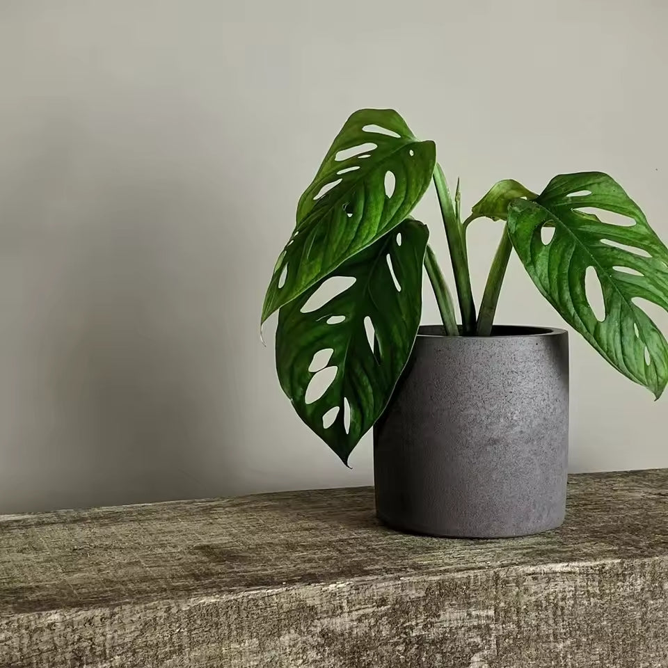 TheJar Round Nádobka univerzální z UHPC betonu kulatá + podtácek