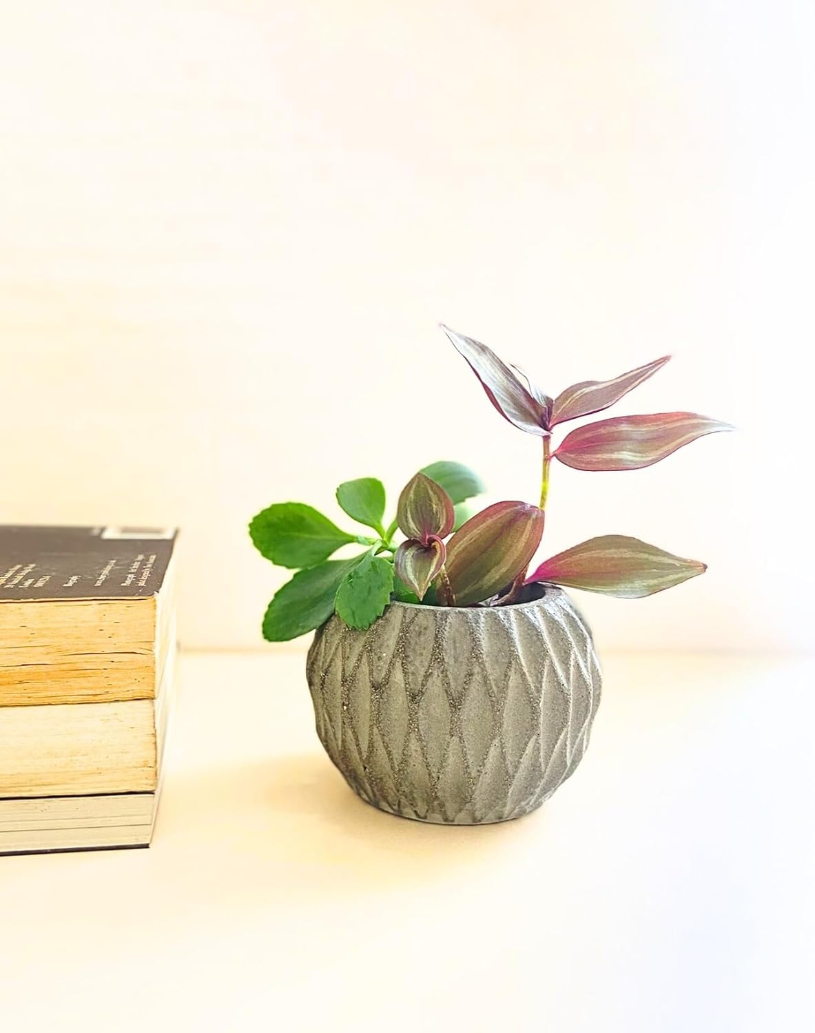 Paralel Nádobka z betonu s geometrickým vzorováním