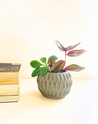 Paralel Nádobka z betonu s geometrickým vzorováním