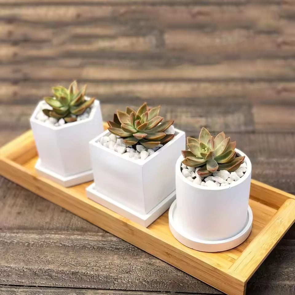 TheJar Cube Nádobka univerzální z UHPC betonu čtvercová + podtácek