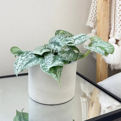 ThePot Květináč z UHPC betonu Válcový